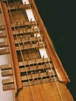 Organistrum, Plumier